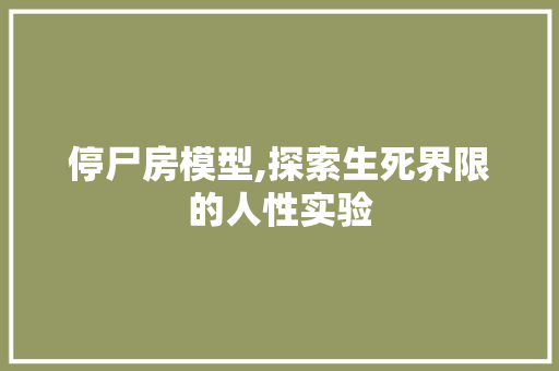 停尸房模型,探索生死界限的人性实验