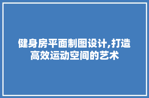 健身房平面制图设计,打造高效运动空间的艺术