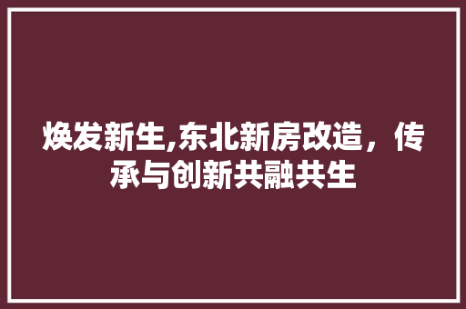 焕发新生,东北新房改造，传承与创新共融共生