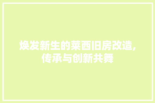 焕发新生的莱西旧房改造,传承与创新共舞