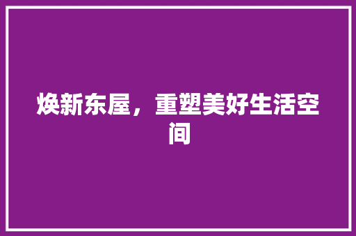 焕新东屋，重塑美好生活空间