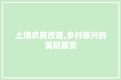 土墙农房改造,乡村振兴的美丽蝶变