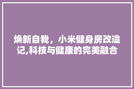 焕新自我，小米健身房改造记,科技与健康的完美融合