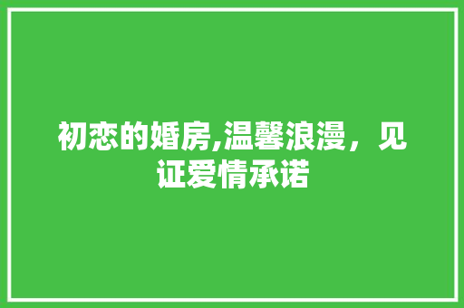 初恋的婚房,温馨浪漫，见证爱情承诺