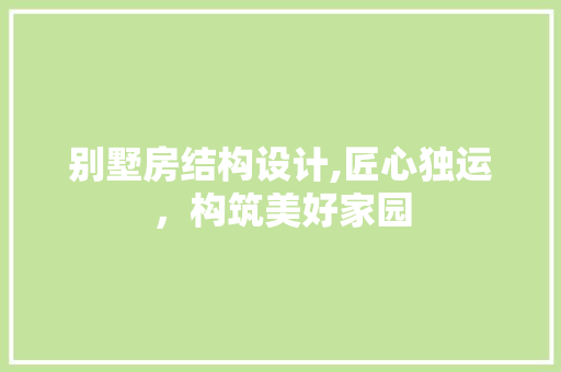 别墅房结构设计,匠心独运，构筑美好家园