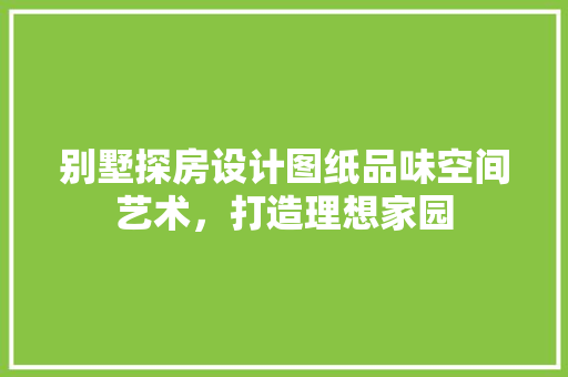 别墅探房设计图纸品味空间艺术，打造理想家园