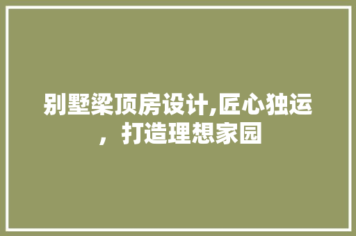 别墅梁顶房设计,匠心独运，打造理想家园
