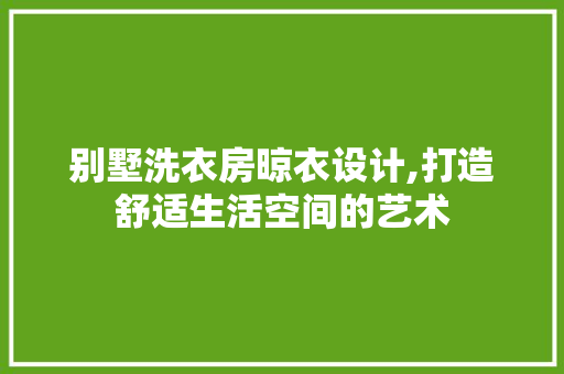 别墅洗衣房晾衣设计,打造舒适生活空间的艺术