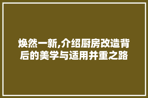 焕然一新,介绍厨房改造背后的美学与适用并重之路