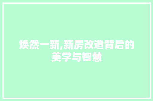 焕然一新,新房改造背后的美学与智慧