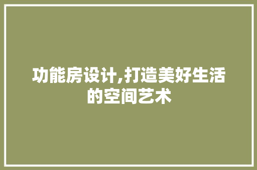 功能房设计,打造美好生活的空间艺术