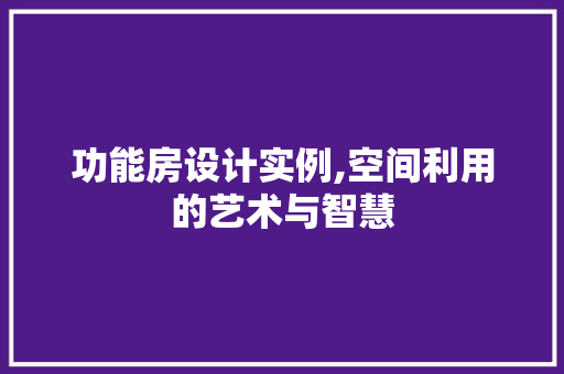功能房设计实例,空间利用的艺术与智慧