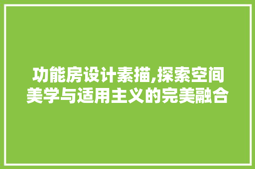 功能房设计素描,探索空间美学与适用主义的完美融合