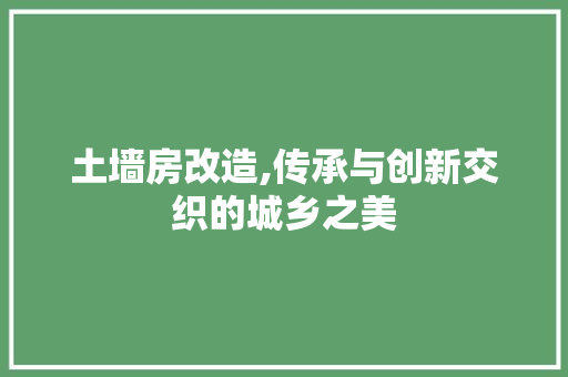 土墙房改造,传承与创新交织的城乡之美