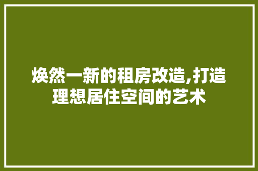 焕然一新的租房改造,打造理想居住空间的艺术