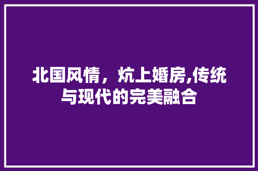 北国风情，炕上婚房,传统与现代的完美融合