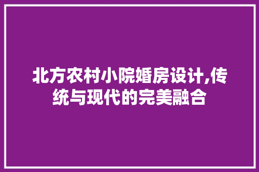 北方农村小院婚房设计,传统与现代的完美融合