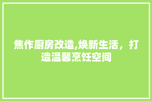 焦作厨房改造,焕新生活，打造温馨烹饪空间