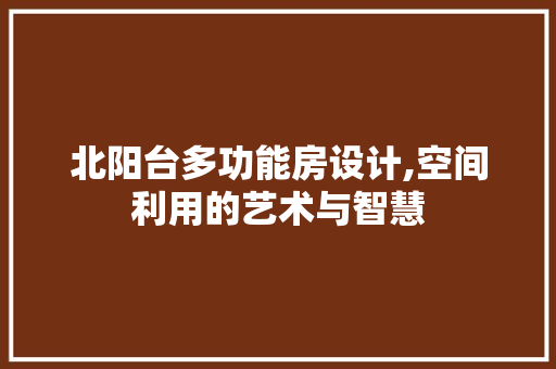 北阳台多功能房设计,空间利用的艺术与智慧