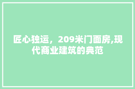 匠心独运，209米门面房,现代商业建筑的典范