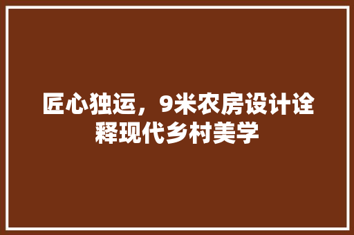 匠心独运，9米农房设计诠释现代乡村美学