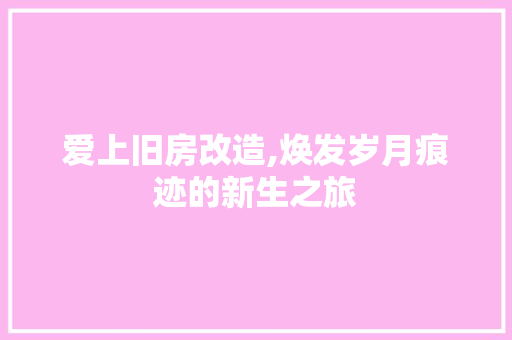 爱上旧房改造,焕发岁月痕迹的新生之旅