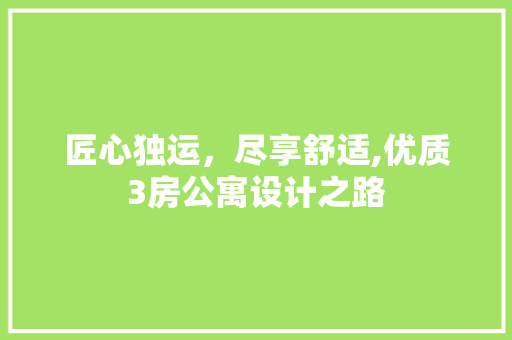 匠心独运，尽享舒适,优质3房公寓设计之路