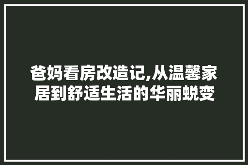 爸妈看房改造记,从温馨家居到舒适生活的华丽蜕变