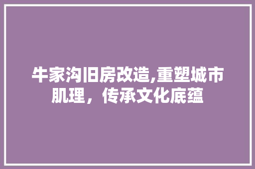牛家沟旧房改造,重塑城市肌理，传承文化底蕴