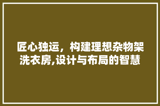 匠心独运，构建理想杂物架洗衣房,设计与布局的智慧之路