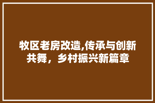 牧区老房改造,传承与创新共舞，乡村振兴新篇章