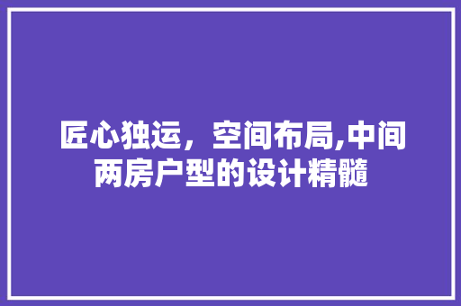 匠心独运，空间布局,中间两房户型的设计精髓