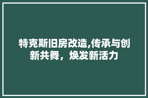 特克斯旧房改造,传承与创新共舞，焕发新活力