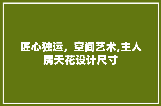 匠心独运，空间艺术,主人房天花设计尺寸