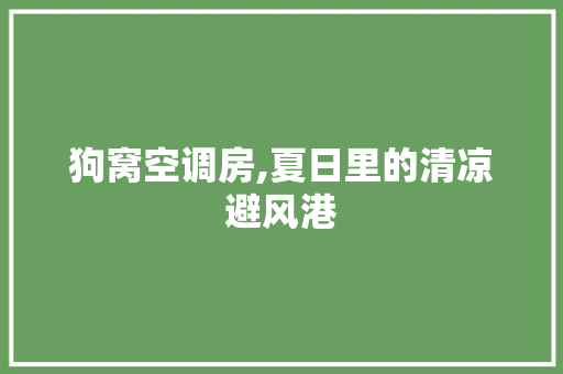 狗窝空调房,夏日里的清凉避风港