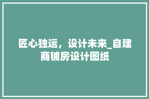 匠心独运，设计未来_自建商铺房设计图纸