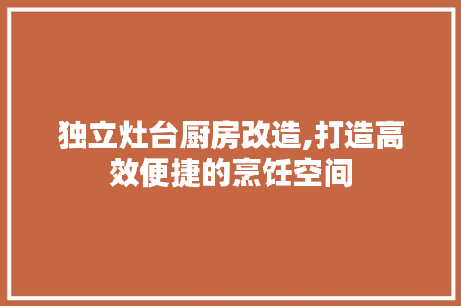 独立灶台厨房改造,打造高效便捷的烹饪空间