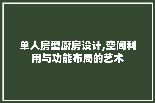 单人房型厨房设计,空间利用与功能布局的艺术