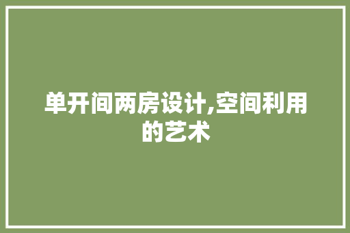 单开间两房设计,空间利用的艺术