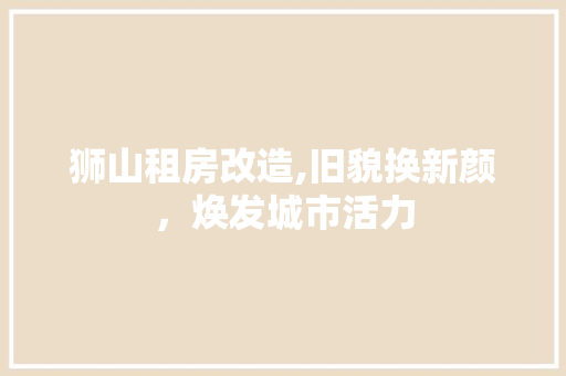 狮山租房改造,旧貌换新颜，焕发城市活力