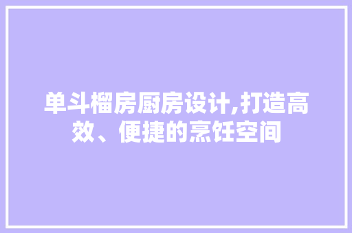 单斗榴房厨房设计,打造高效、便捷的烹饪空间