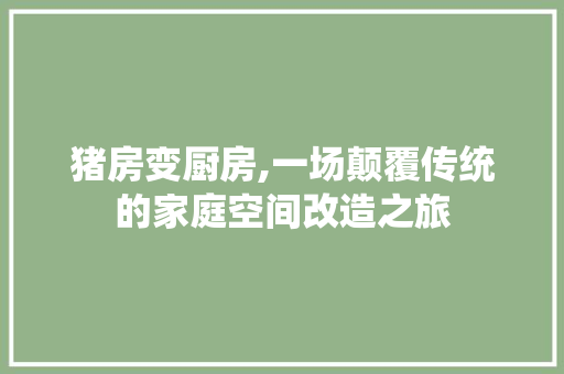 猪房变厨房,一场颠覆传统的家庭空间改造之旅