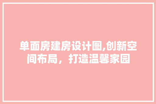 单面房建房设计图,创新空间布局，打造温馨家园