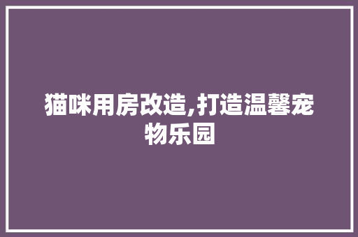 猫咪用房改造,打造温馨宠物乐园