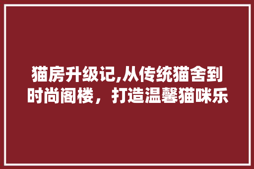 猫房升级记,从传统猫舍到时尚阁楼，打造温馨猫咪乐园