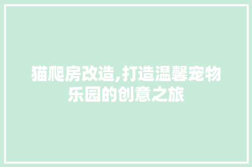 猫爬房改造,打造温馨宠物乐园的创意之旅