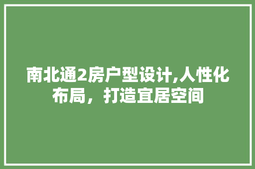 南北通2房户型设计,人性化布局，打造宜居空间