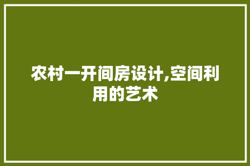 农村一开间房设计,空间利用的艺术