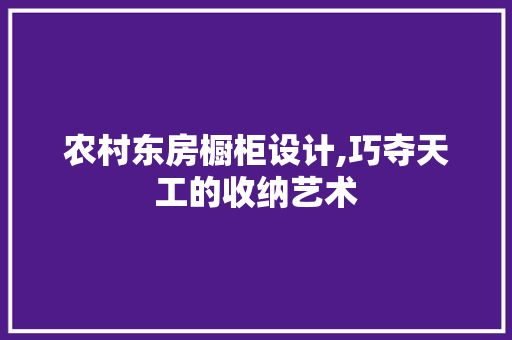 农村东房橱柜设计,巧夺天工的收纳艺术