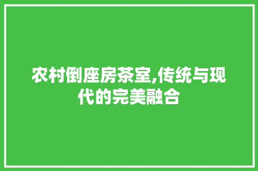 农村倒座房茶室,传统与现代的完美融合